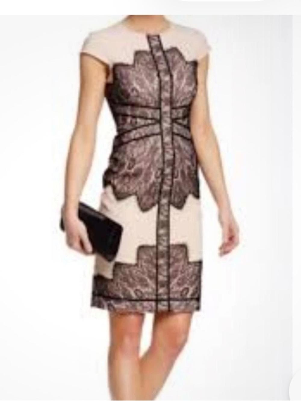 ADRIANNA PAPELL Size 6 Cap Sleeve Sheath Dress Lace Detail  Black and pink